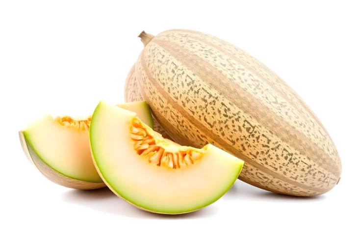 Ripe Melon Natures Sweet Treat